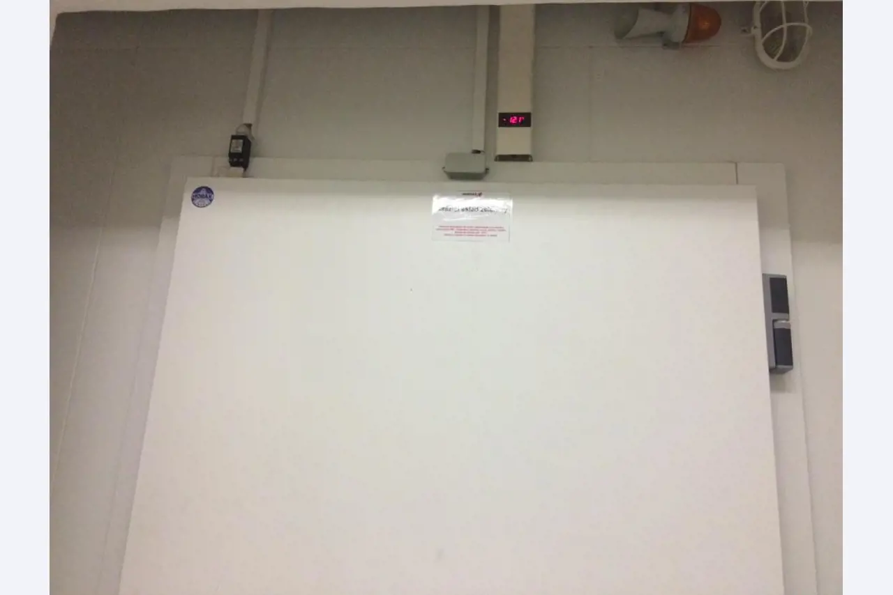 prueba-4